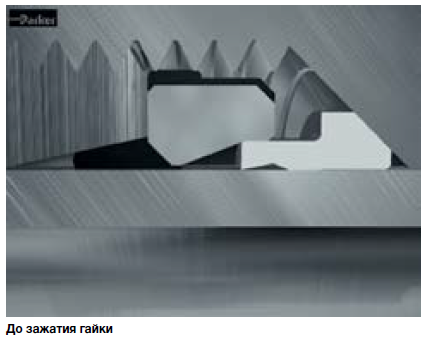 84965ba721a30e2e79c7a4d43437af39.png 84965ba721a30e2e79c7a4d43437af39.png